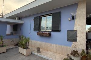 Villa singola con uliveto e maneggio