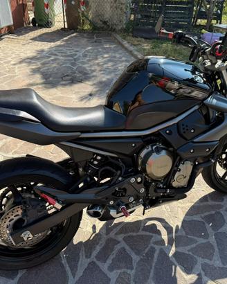 Yamaha XJ6