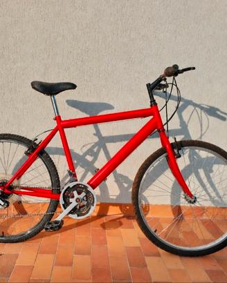 bicicletta 