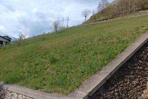 Terreno edificabile - Albaredo per San Marco SO