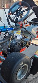 tm r2 blek kart