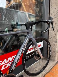 Focus Izalco max 2026
