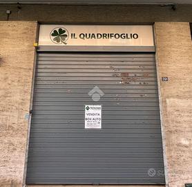 BOX A TRIESTE