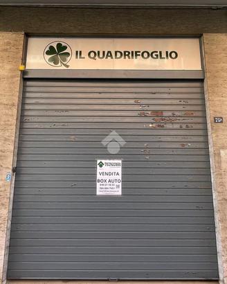 BOX A TRIESTE