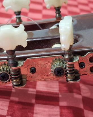Chitarra Classica Giannini AWN 85 (Made in Brazil)