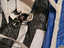 Immagine 6