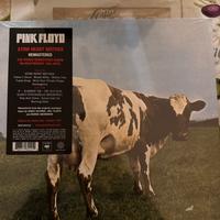 Vinile