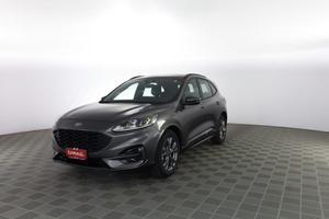 FORD Kuga Kuga 1.5 EcoBlue 120 CV aut. 2WD ST-Li