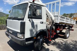 camion ribaltabile con gru