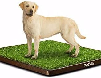 Toilette per cani con prato artificiale 90x100