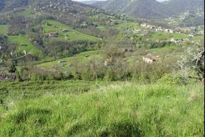 Immobile in asta di 11730 m² a Adrara San Martino