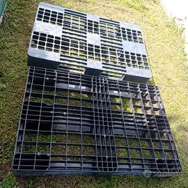 pallet usati