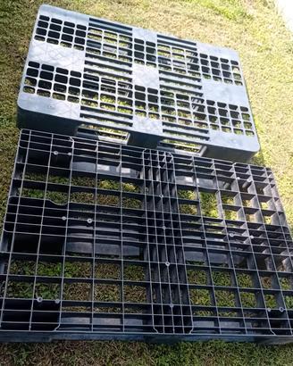 pallet usati