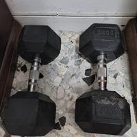 manubri 20 kg