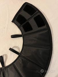 Collare Elisabettiano