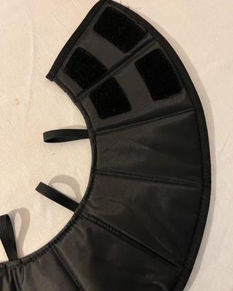 Collare Elisabettiano