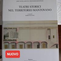 Teatri Storici nel Territorio Mantovano