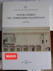 Teatri Storici nel Territorio Mantovano