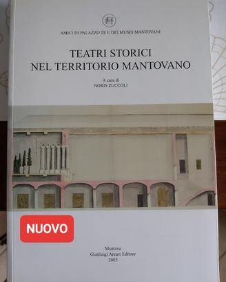 Teatri Storici nel Territorio Mantovano