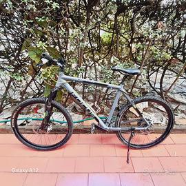 bici Focus Black Hills