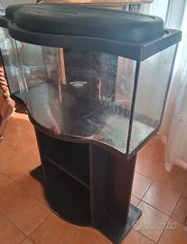 acquario
