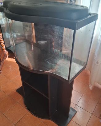 acquario