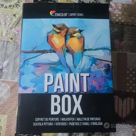 Valigetta pittura artista set di 30 pezzi