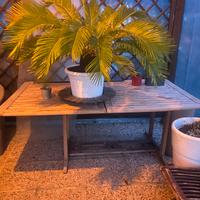 Set in legno da giardino