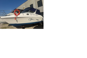 Saver 690 cabin con Johnson 200