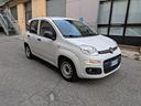 fiat-panda-van-1-3-mjt-80-cv-km-5-500-