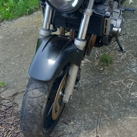 Honda hornet 600