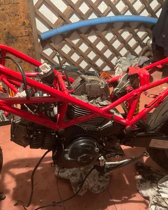 Pezzi Ducati Monster 695 + motore completo