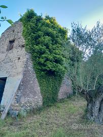 Rudere con terreno 