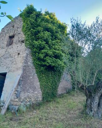 Rudere con terreno 