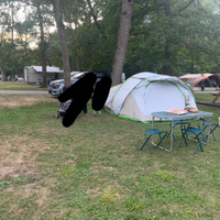 Tenda da campeggio 2 second illuminfresh xxl