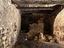 Immagine 2
