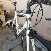 bici  da strada in carbonio 
