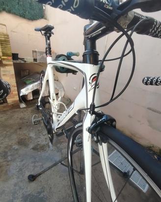 bici  da strada in carbonio 