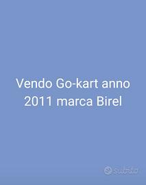 Go-kart birel