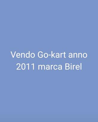 Go-kart birel