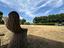 Immagine 25