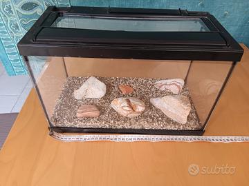 Acquario 