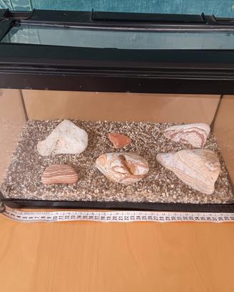 Acquario 
