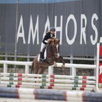 Pony da scuola e prime gare