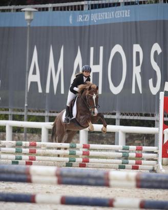 Pony da scuola e prime gare