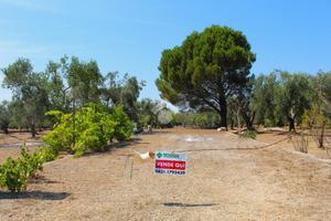 TER. AGRICOLO A CAROVIGNO