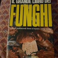 funghi
