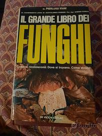 funghi