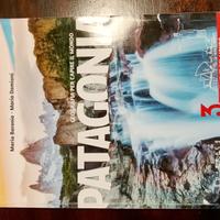 Patagonia 3