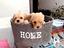 Immagine 17